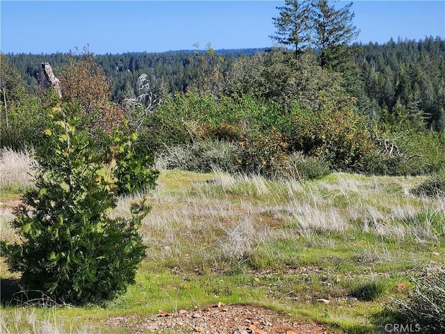 14248 Monte Calle Ln, Magalia, CA 95954 - photo 4