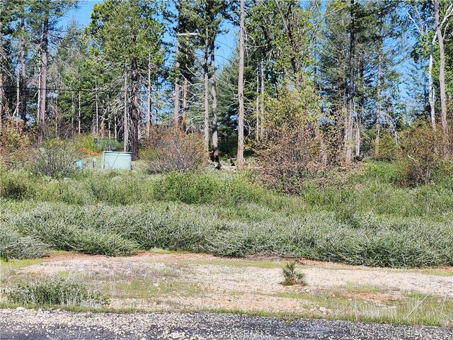 14248 Monte Calle Ln, Magalia, CA 95954 - photo 5