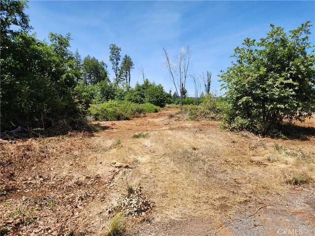 14248 Monte Calle Ln, Magalia, CA 95954 - photo 10