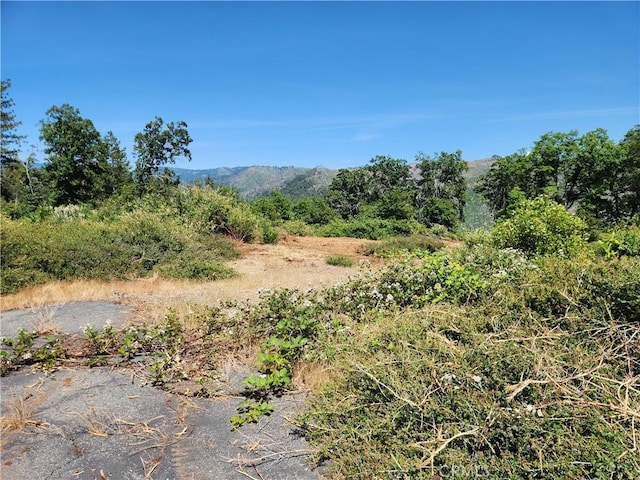 14248 Monte Calle Ln, Magalia, CA 95954 - photo 12