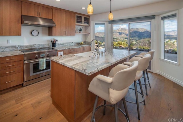 kitchen with brown cabinetry, under cabinet range hood, a sink, and high end stainless steel range