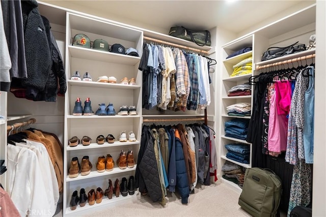 spacious closet with carpet floors