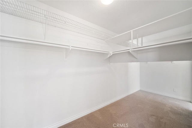 4930 Rockhampton Ct, Yorba Linda, CA 92887 - walk in closet with carpet