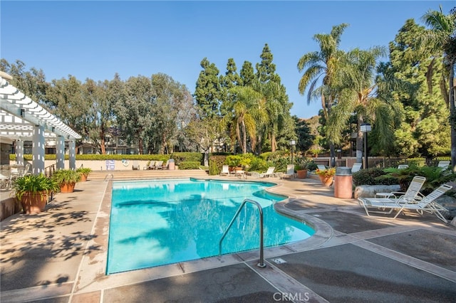 pool with a pergola and a patio area