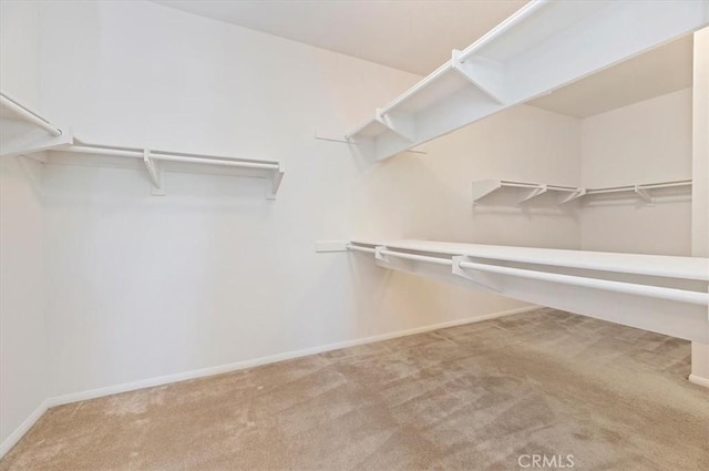 spacious closet with carpet floors