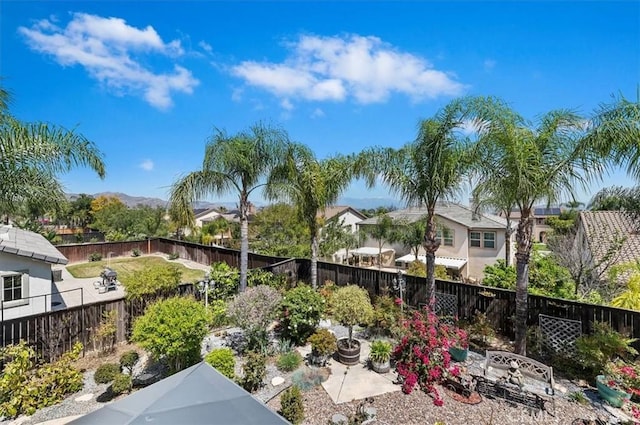 view of yard with a patio area and a fenced backyard