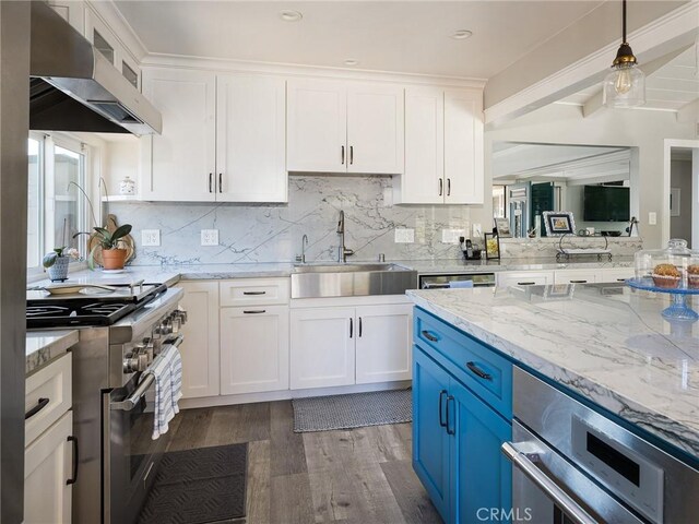 kitchen with blue cabinets, dark wood finished floors, a sink, ventilation hood, and stainless steel appliances