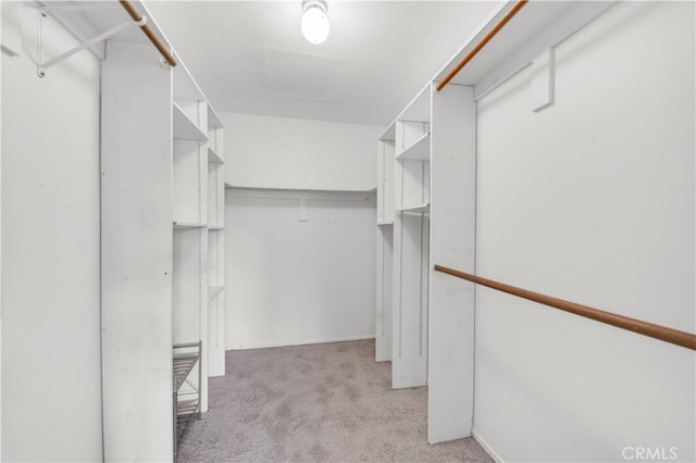 spacious closet with light carpet