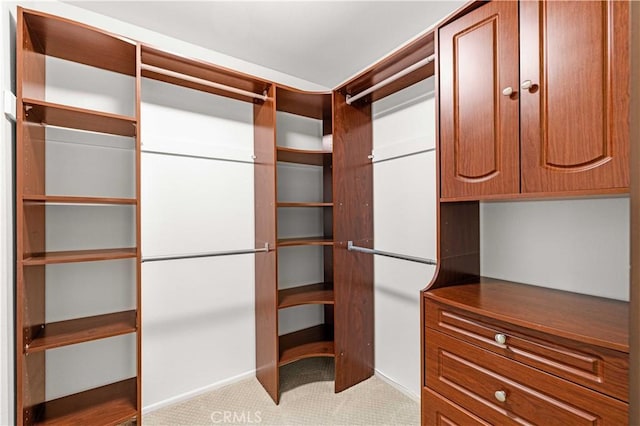 19 Alameda, Irvine, CA 92620 - walk in closet with carpet floors