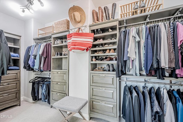 spacious closet with carpet flooring