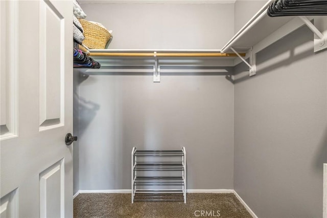 43590 Warner Trl, Palm Desert, CA 92211 - walk in closet with carpet flooring