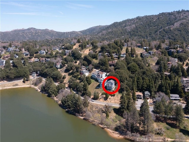 406 Delle Dr, Crestline, CA 92325 - photo 46