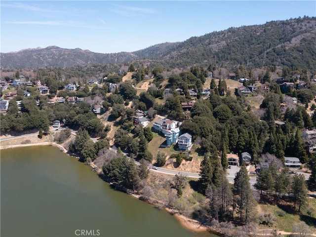 406 Delle Dr, Crestline, CA 92325 - photo 49