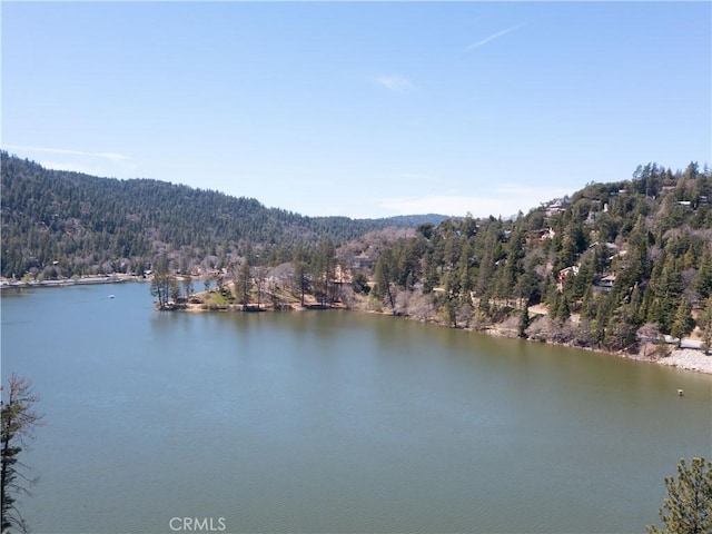 406 Delle Dr, Crestline, CA 92325 - view of water feature featuring a forest view