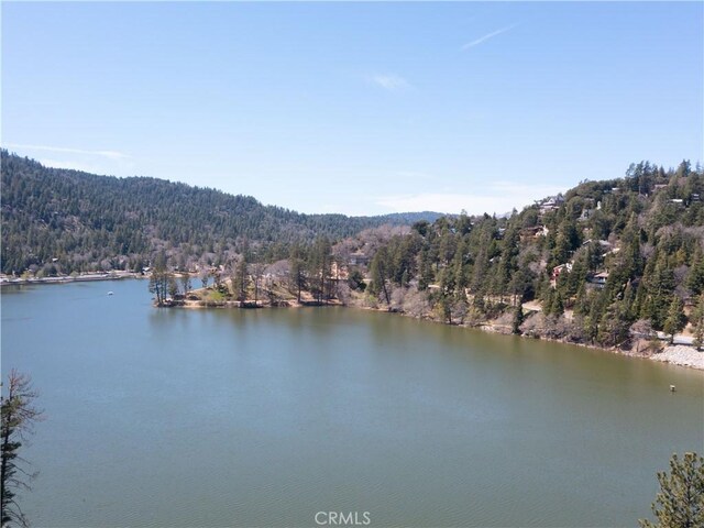 406 Delle Dr, Crestline, CA 92325 - photo 53