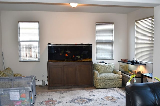 1019 El Molino Ave, Clovis, CA 93619 - living area featuring a wealth of natural light