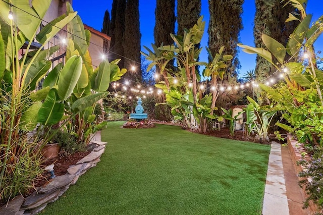455 Ridgeview Ct, Bonita, CA 91902 - view of yard at night