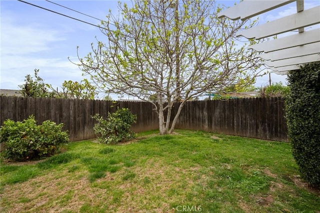 view of yard with a fenced backyard