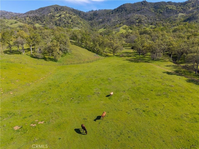 drone / aerial view with a rural view and a mountain view