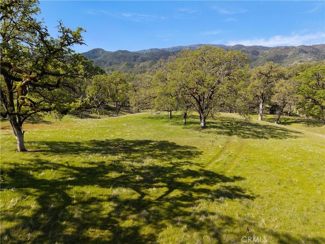 view of mountain feature