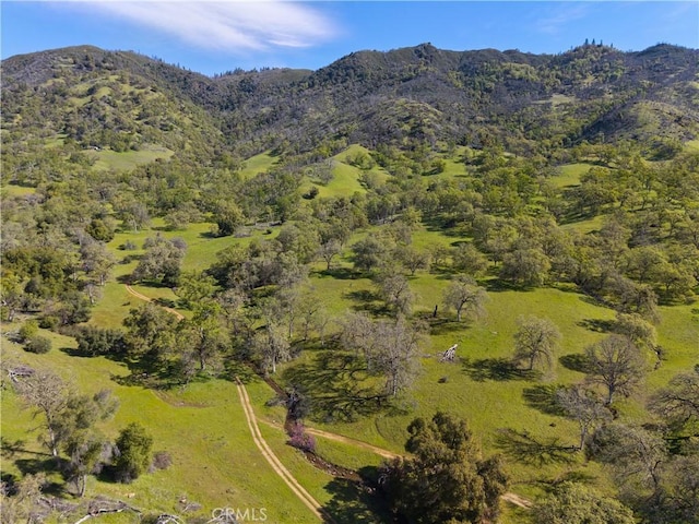 birds eye view of property with a mountain view
