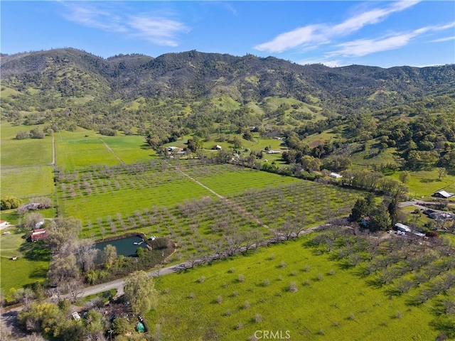 birds eye view of property featuring a mountain view and a rural view