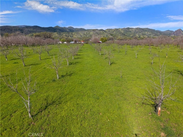birds eye view of property featuring a mountain view and a rural view