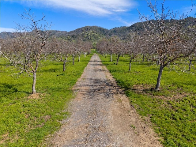view of road with a rural view and a mountain view
