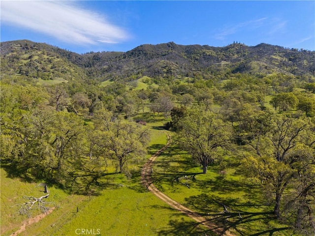 property view of mountains with a wooded view