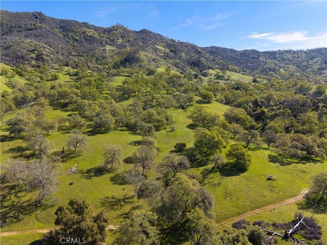 birds eye view of property featuring a wooded view and a mountain view