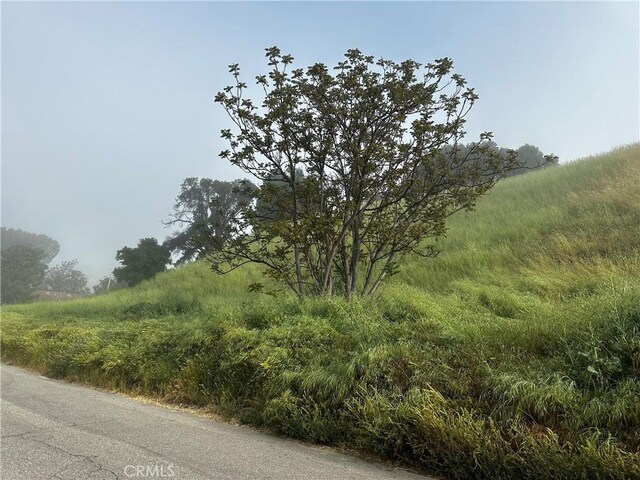 15 Driver Ave, Val Verde, CA 91384