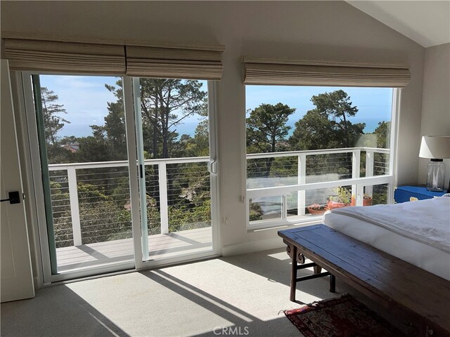 bedroom featuring a water view and access to exterior