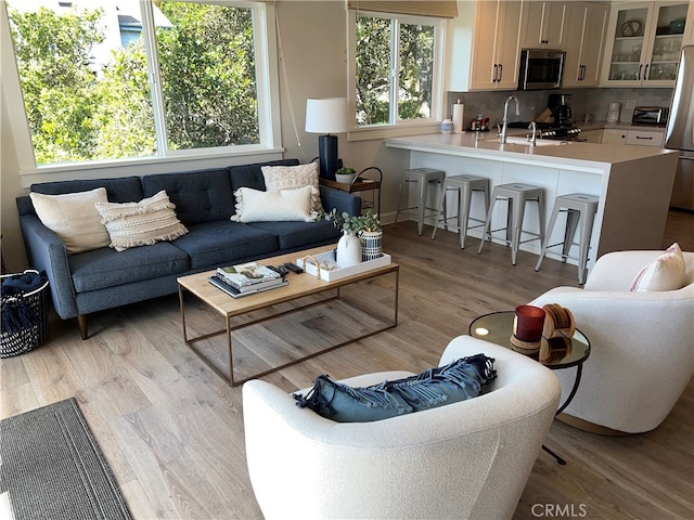 living room with light wood-type flooring