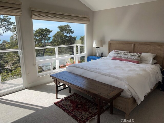 carpeted bedroom featuring multiple windows, access to exterior, and lofted ceiling