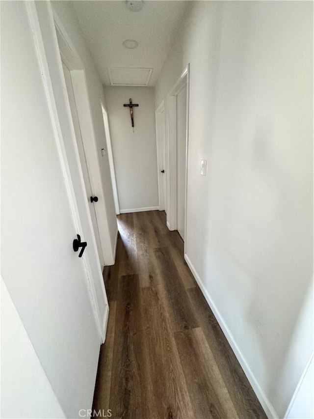 26659 6th St, Highland, CA 92346 - hallway with wood finished floors and baseboards