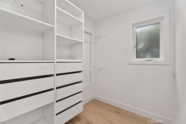 625 Calle Miguel, San Clemente, CA 92672 - walk in closet featuring light wood-style flooring