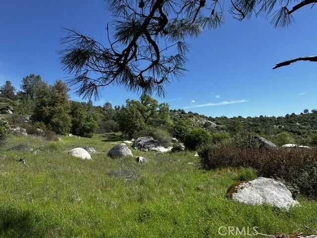 4658 Little Bear Rd, Mariposa, CA 95338 - photo 5