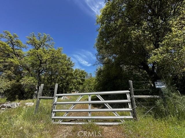 4658 Little Bear Rd, Mariposa, CA 95338 - photo 10