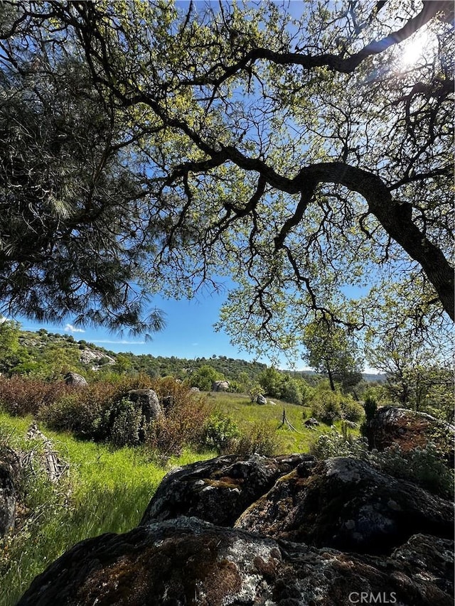 4658 Little Bear Rd, Mariposa, CA 95338 - photo 4