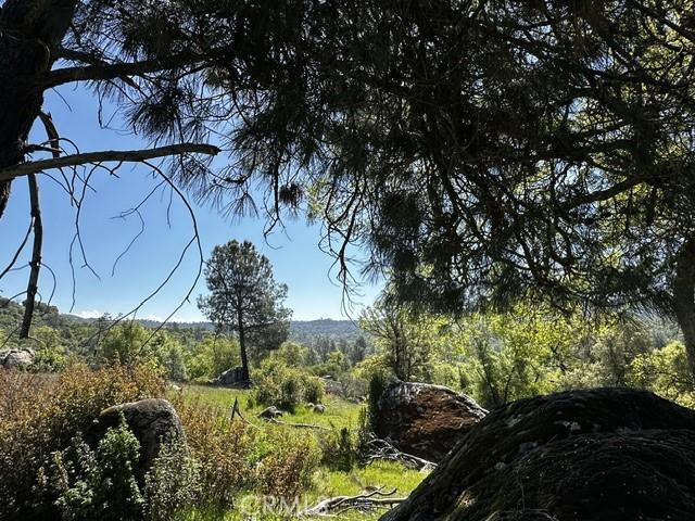 4658 Little Bear Rd, Mariposa, CA 95338 - photo 7
