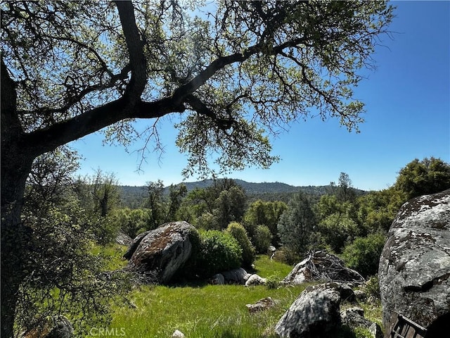 4658 Little Bear Rd, Mariposa, CA 95338 - photo 2