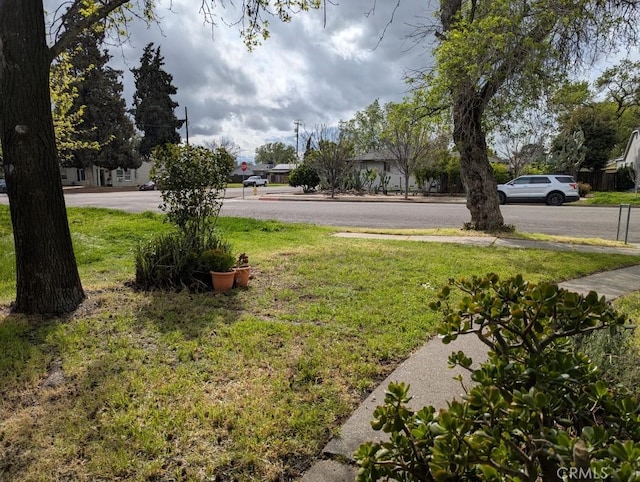 548 S Plumas St, Willows, CA 95988 - view of yard