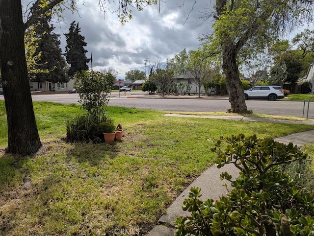 548 S Plumas St, Willows, CA 95988 - view of green lawn