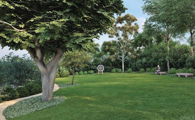 surrounding community with a yard