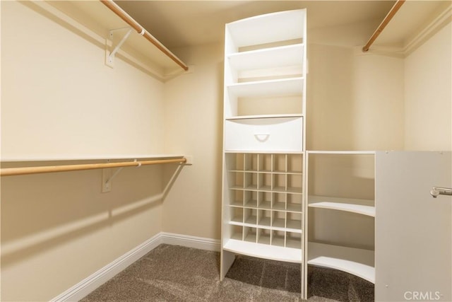 spacious closet with carpet flooring