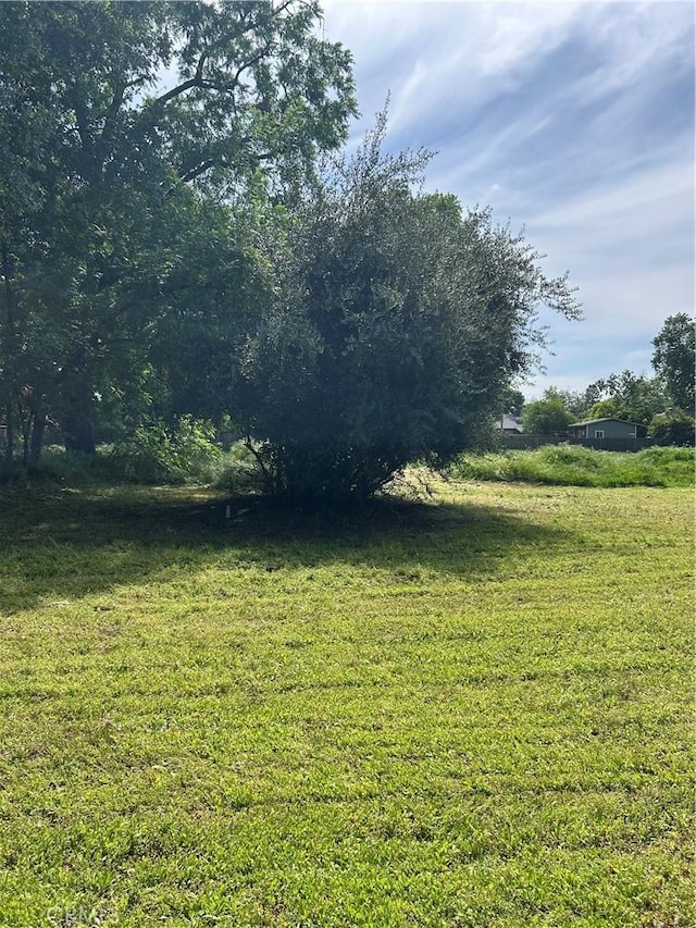 1946 Palm Ave, Chico, CA 95926 - view of yard