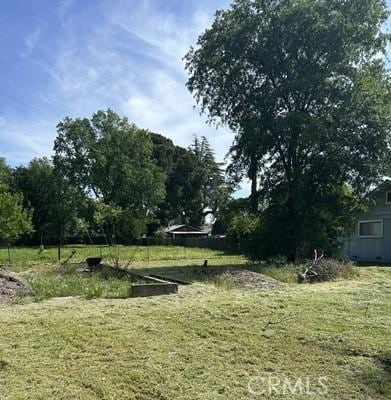 1946 Palm Ave, Chico, CA 95926 - view of yard