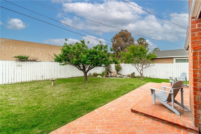 view of yard featuring a patio area and a fenced backyard