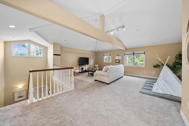 753 Jacquelene Ct, Encinitas, CA 92024 - carpeted living room featuring lofted ceiling, rail lighting, and baseboards