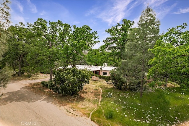 exterior space with driveway